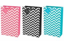 Striped 2 bottle Gift Bag