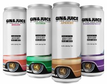 Gin & Juice Variety 8 Pack Cans