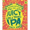 Sierra Nevada Juicy Little Thing 6 Pack Cans