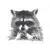 Metazoa Trash Panda 4 Pack Cans