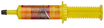 Electrocharge Paste