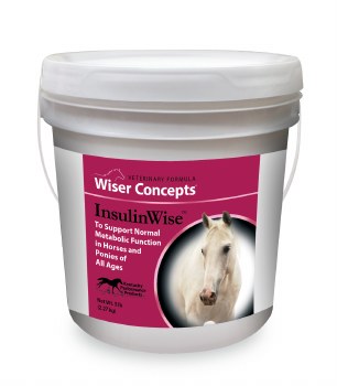 InsulinWise POWDER