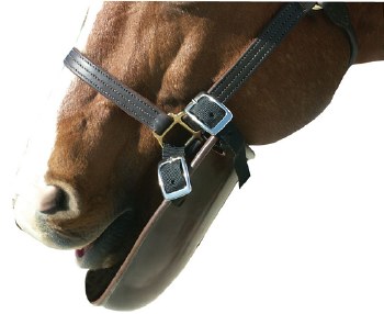 Plastic Bib w/ Buckle