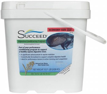 Succeed (180 Day)