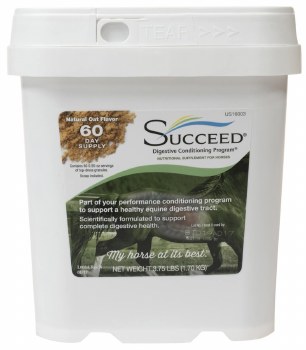 Succeed (60 Day)