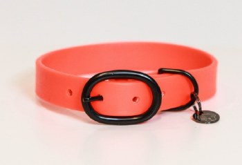 Kentucky Soft Rubber Dog Collar (Large/Orange)