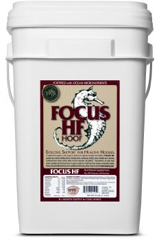 Focus HF