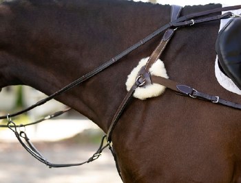 Black Oak 5-Point Breastplate (Cob)
