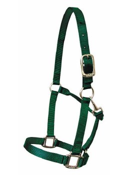 Nylon Halter with Snap 1" (Hunter Green/Cob)