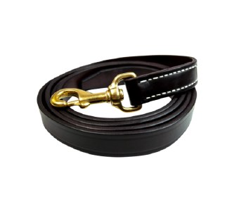 Leather Lead w/ Snap