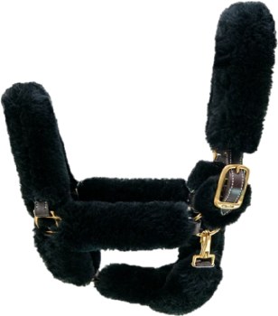 Walsh Black Shipping Halter (Black/Brass - Horse)