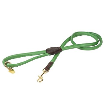 Rolled Leather Dog Lead