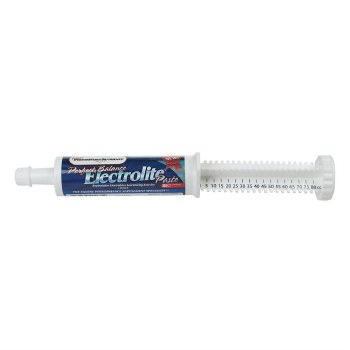Peak Performance Electrolyte Paste