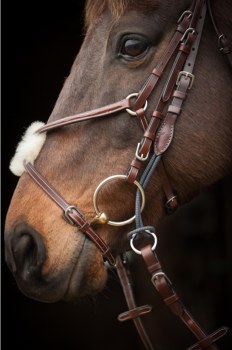 Nunn Finer Leather Gag Holder