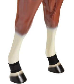 Neoprene Pastern Wrap