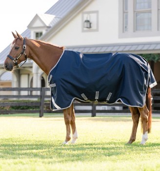 Amigo 1200D Turnout 250g (66")