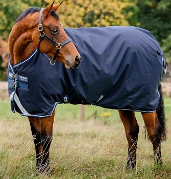 Amigo Bravo 12 MEDIUM Turnout (78")
