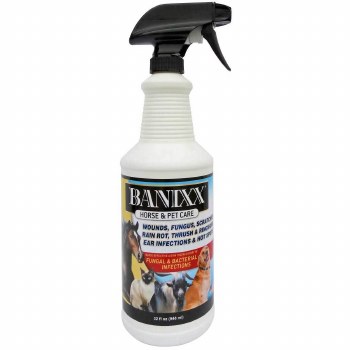 Banixx Spray