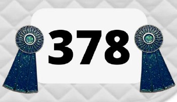 Blue Ribbon Number Pin Charm (Pair)