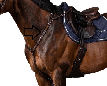 Dy'on Bridge Breastplate (Full)