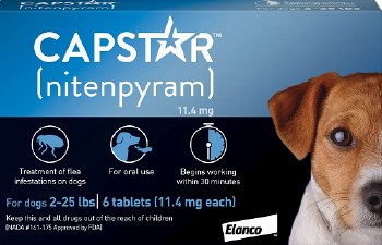 CAPSTAR Blue for Dogs 2-25 lbs