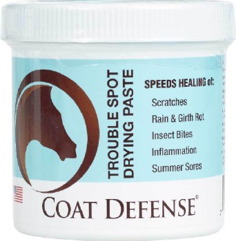 Coat Defense Paste (24oz)