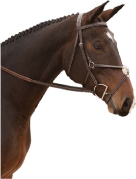 Cedar Figure 8 Bridle (Cob)