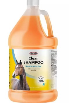 Clean Shampoo