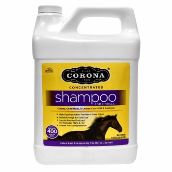 Corona Concentrated Shampoo