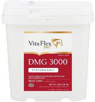 DMG 3000