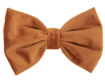 Kentucky Velvet Dog Bow Tie (Large/Orange)