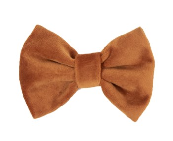 Kentucky Velvet Dog Bow Tie (Small/Orange)