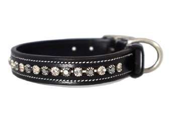 Impulsion Dog Collar (12")