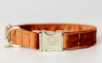 Kentucky Velvet Dog Collar (Medium/Orange)