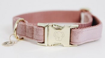 Kentucky Velvet Dog Collar (X-Small/Rose)