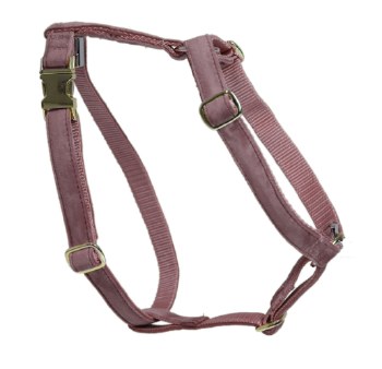 Kentucky Loop Dog Harness (Rose/X-Small)