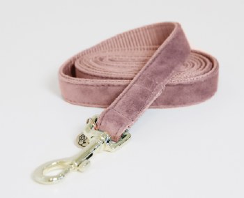 Kentucky Velvet Dog Lead (Rose)