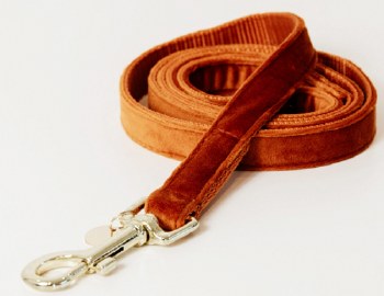 Kentucky Velvet Dog Lead (Orange)