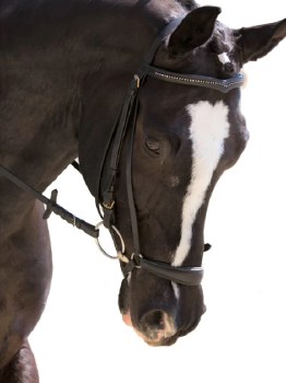 Red Barn Drop Noseband (Brown/Full)