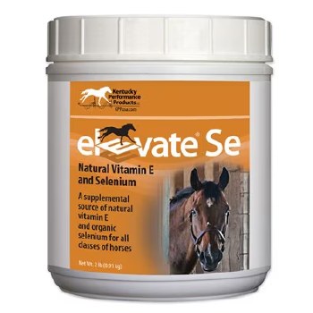 Elevate E&amp;Se