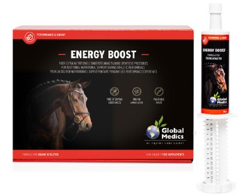 Energy Boost 60 g (6 Pack)