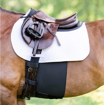 EquiFit Belly Band Plus (Horse)