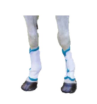 Fly Turnout Socks (Full - White/Teal)