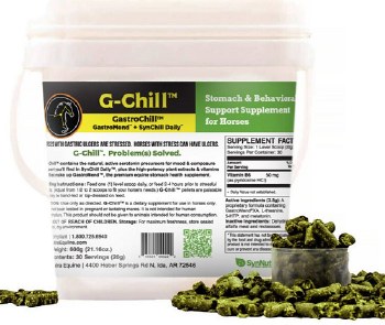 G-Chill (GastroChill)  (30 Servings)