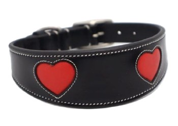 Heart Dog Collar (Black/10")
