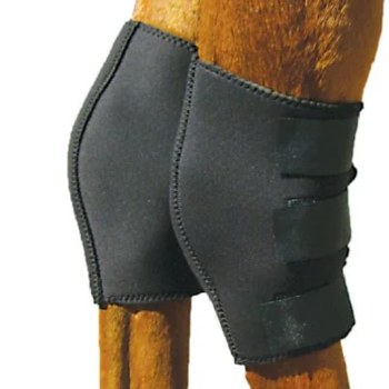 Air Lite Hock Boot