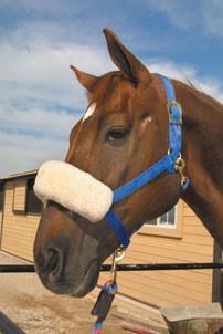 Nose Cover Fleece 11" (Cream)