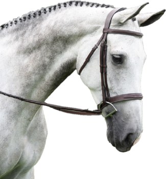 Indio Bridle (Oversize)