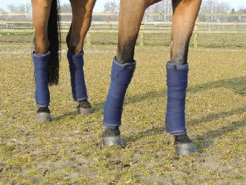 Kentucky Wool Bandage - Set of 4 (Navy)