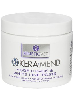 Kinetic Vet Kera-Mend